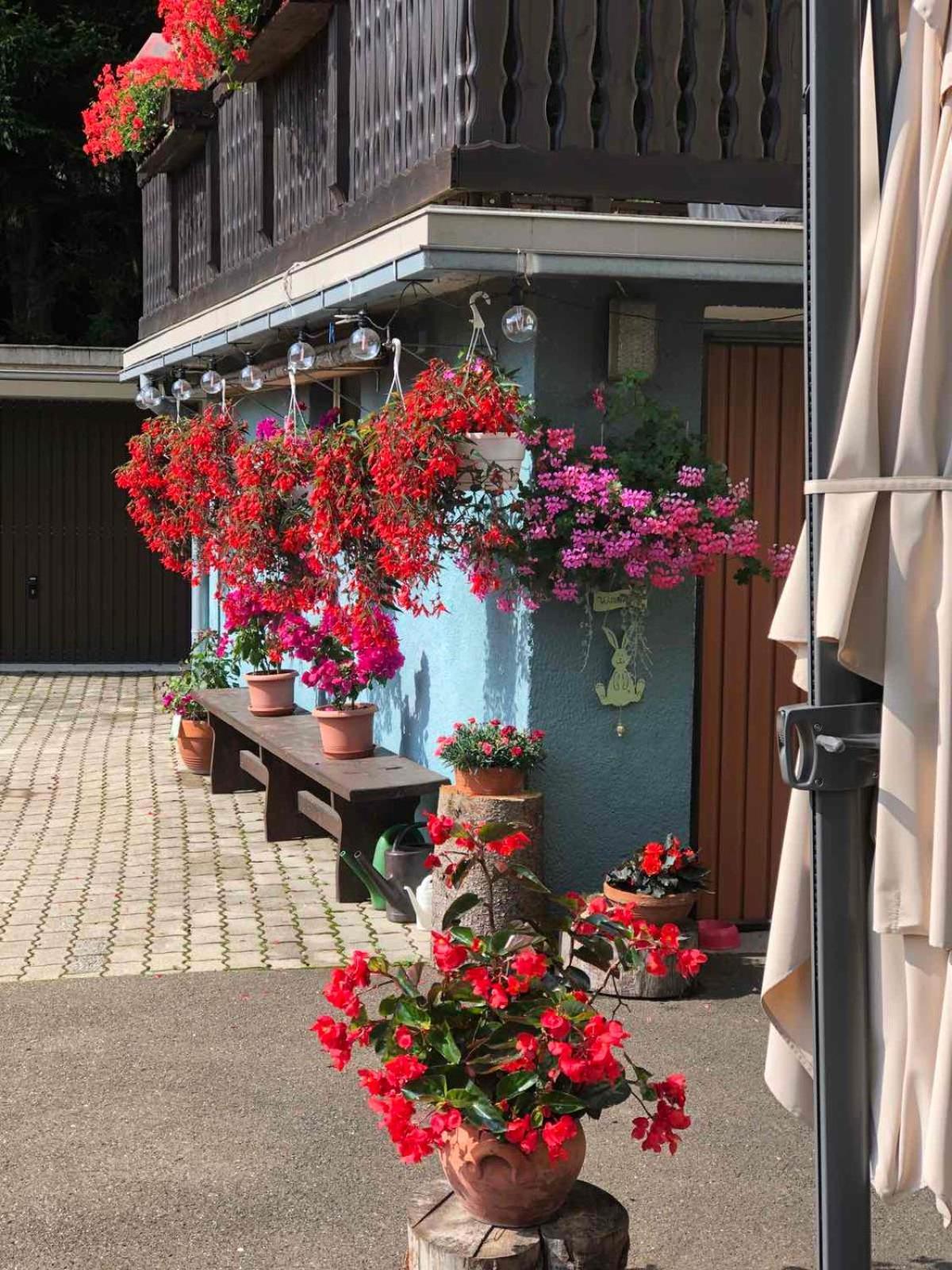 مبيت وإفطار Vordernberg Haus-Erzberg المظهر الخارجي الصورة