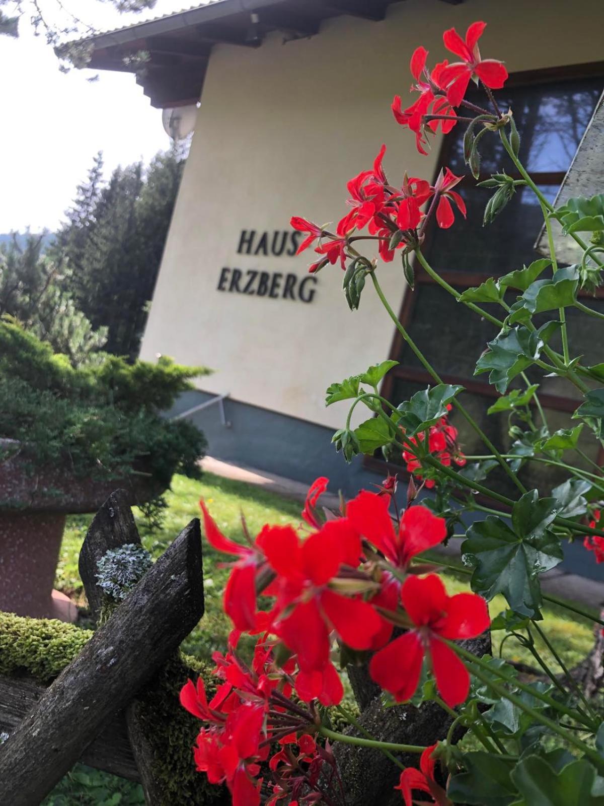 مبيت وإفطار Vordernberg Haus-Erzberg المظهر الخارجي الصورة